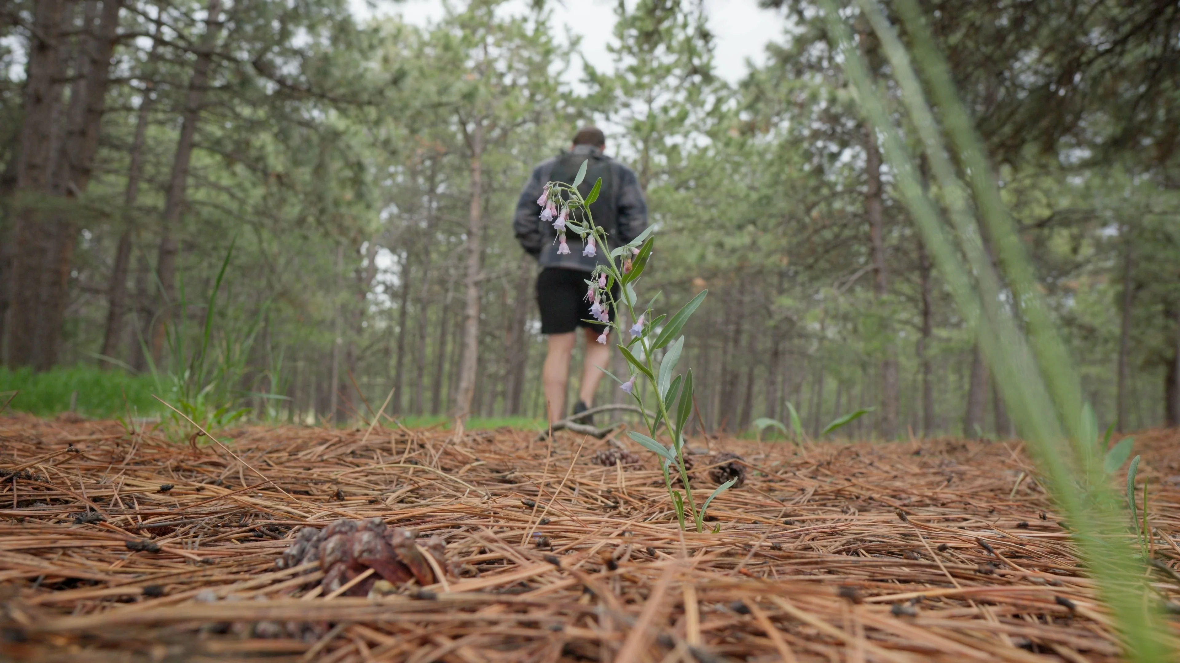 Mattie in natural outdoor setting with flowering plants, representing the creative process of developing your own vocal tracks for mixing