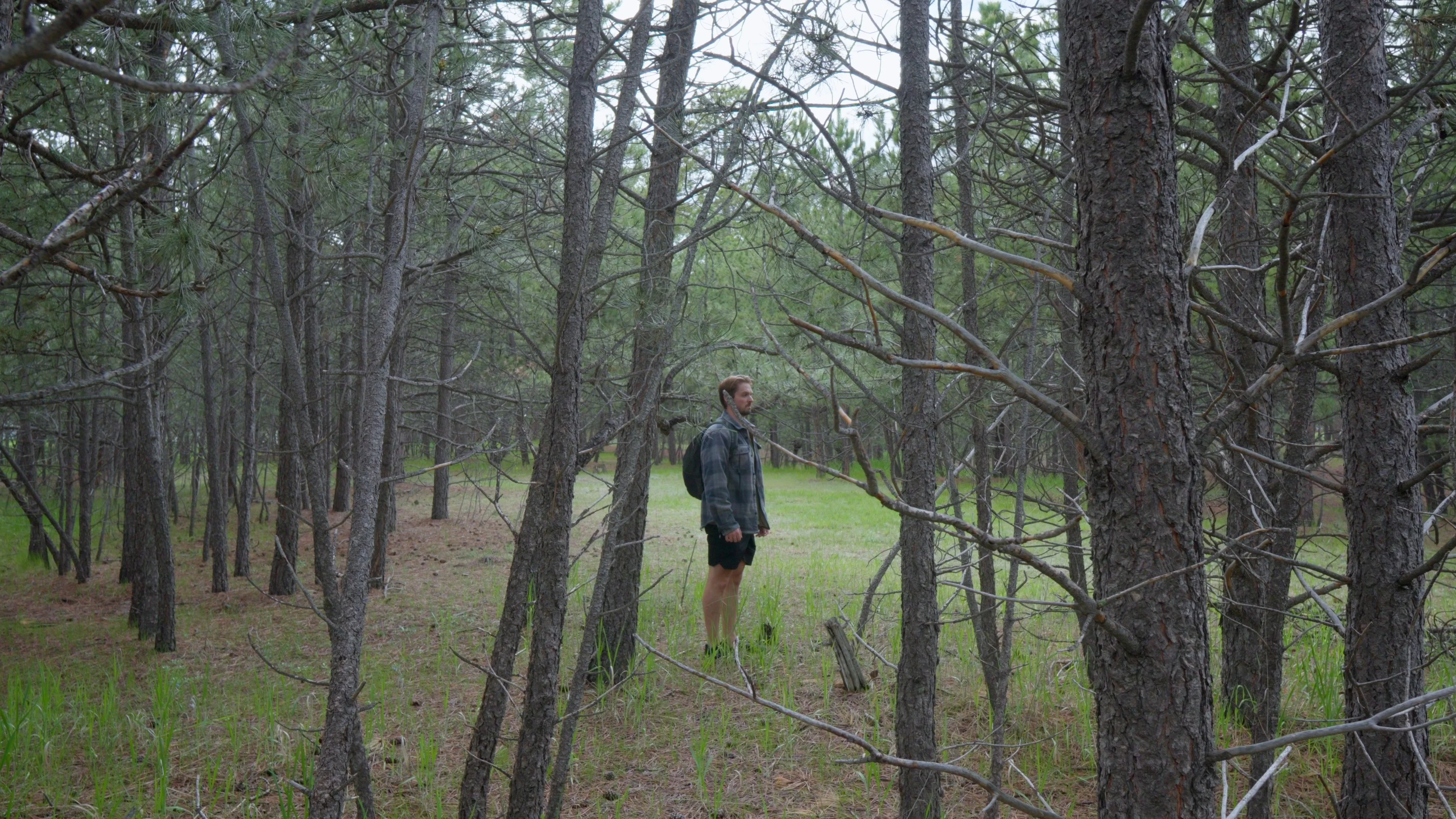 Mattie in a woodland clearing surrounded by bare trees, symbolizing the creative wilderness and challenge of writing 100 songs in 30 days